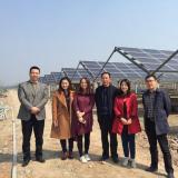 林洋集團副總裁虞海娟攜金融機構赴安徽調(diào)研 加大公司分布式光伏電站建設步伐