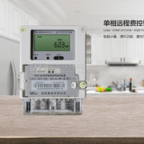 長沙威勝DDZY102單相遠(yuǎn)程費(fèi)控智能電能表